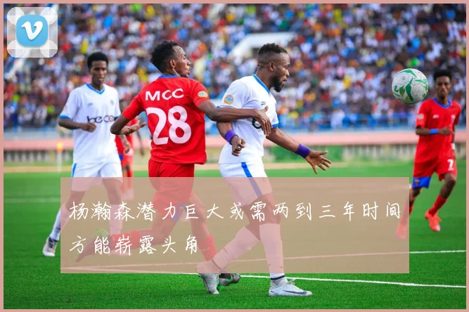 杨瀚森潜力巨大或需两到三年时间方能崭露头角